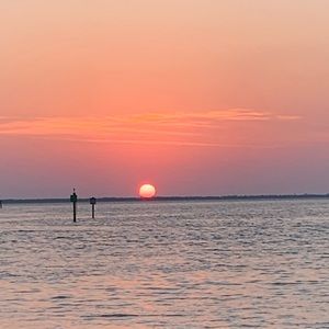 Meet your Posher, Tesha